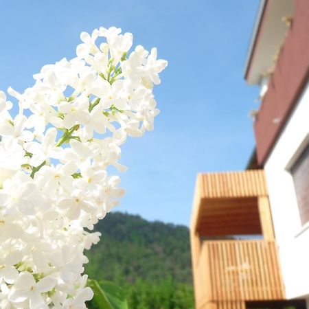 B&B Casa Sul Lago - Appartamenti Calceranica al Lago Oda fotoğraf