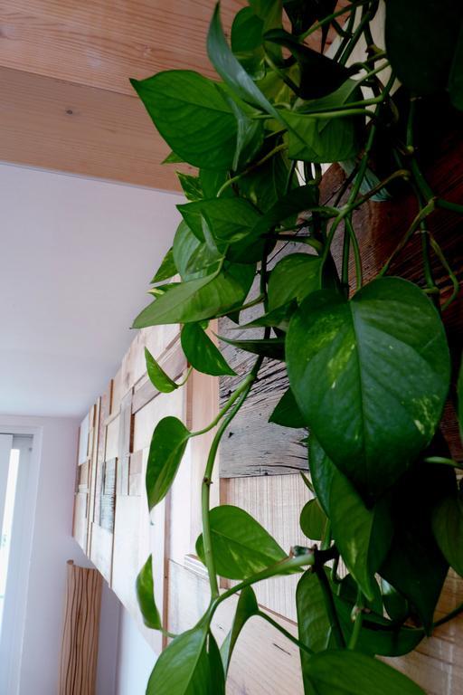 B&B Casa Sul Lago - Appartamenti Calceranica al Lago Oda fotoğraf