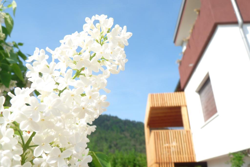 B&B Casa Sul Lago - Appartamenti Calceranica al Lago Oda fotoğraf