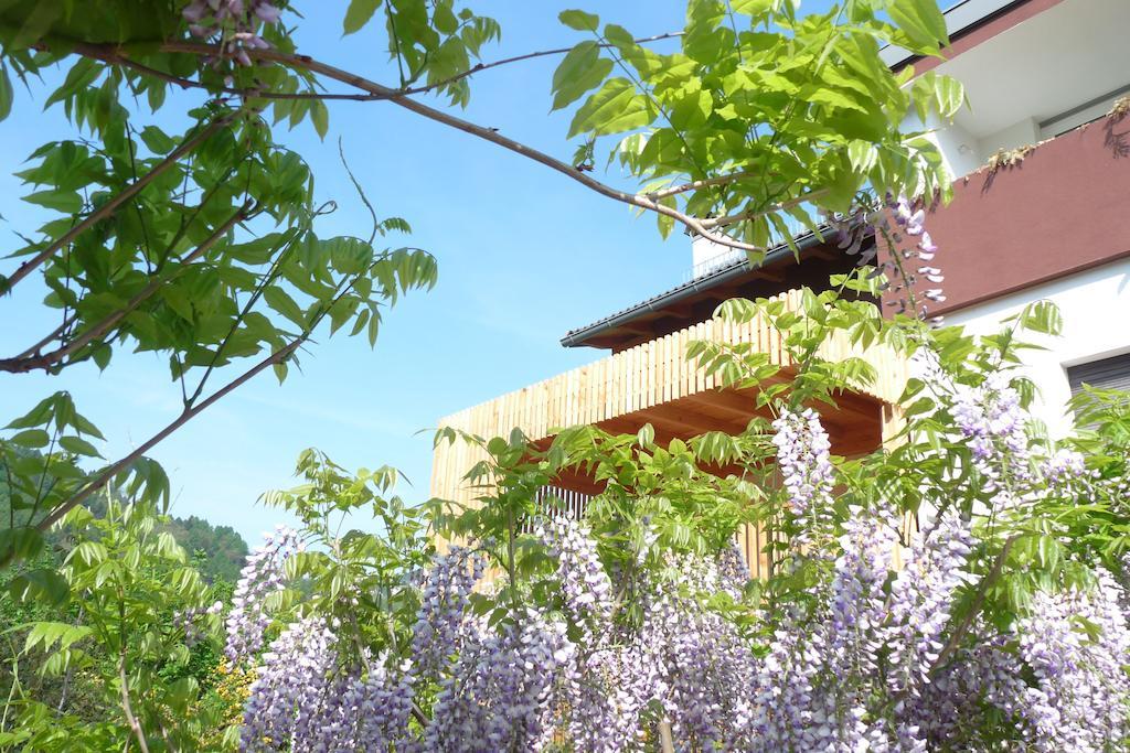 B&B Casa Sul Lago - Appartamenti Calceranica al Lago Dış mekan fotoğraf