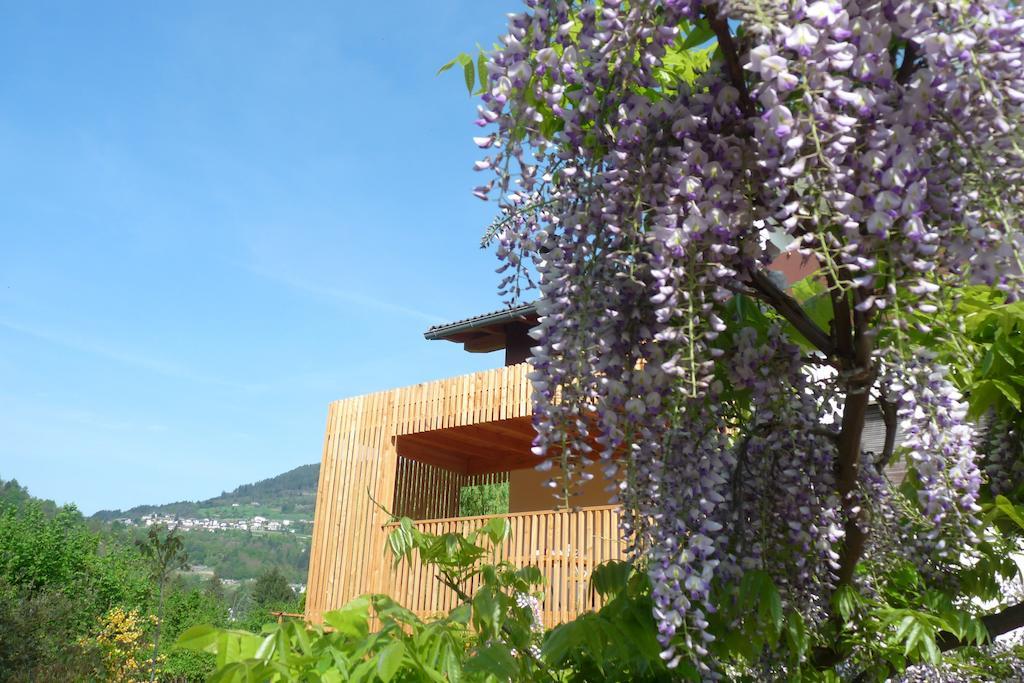 B&B Casa Sul Lago - Appartamenti Calceranica al Lago Dış mekan fotoğraf