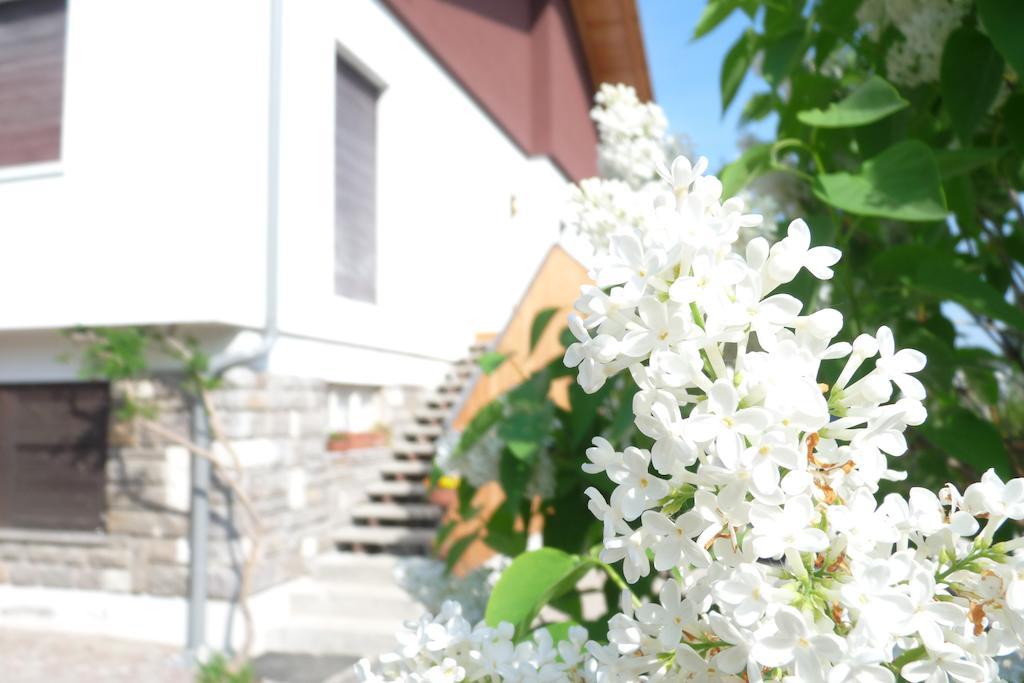 B&B Casa Sul Lago - Appartamenti Calceranica al Lago Dış mekan fotoğraf